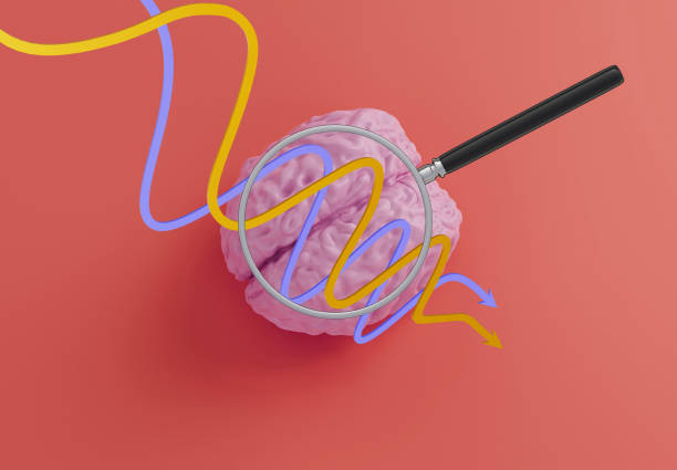 istock Human brain model and curved arrows and magnifier glass on red background, 3d illustration 1287688885