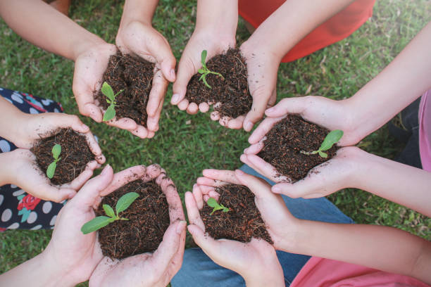 istock Children hands holding sapling in soil surface with plant, spring or summer time, Multicultural hands of children and adult with plant, Green environment and earth day concept. 1287691495