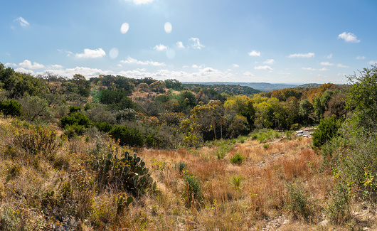 Wide Angle Landscape View of Typical Texas Hill Country Dense Vegetation