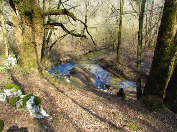 istock Stream flowing from under a slope in Rakov Skocjan 1287698183