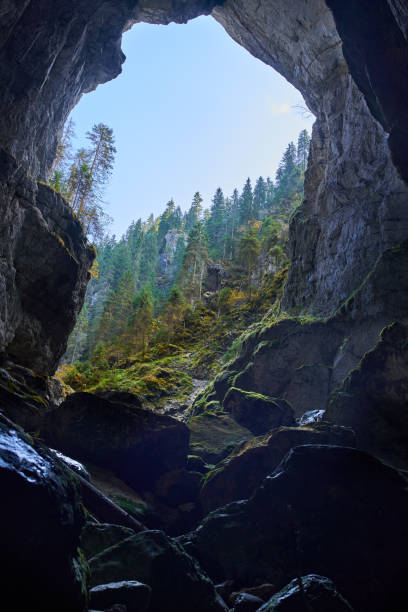 istock Entrance of a big cave 1287698249