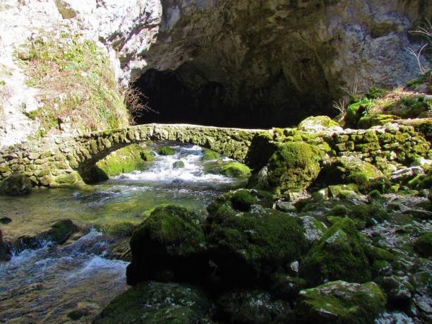 istock Stone bridge in Rakov Skocjan, Slovenia 1287698294