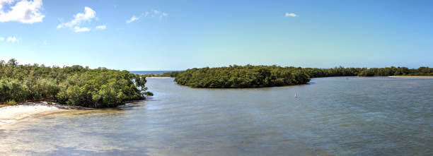 istock Panoramic of Estero Bay with its mangrove islands 1287702116