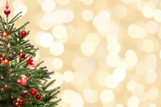 istock Winter background design concept with christmans tree 1287702126
