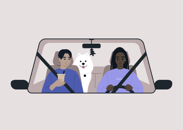 ilustrações de stock, clip art, desenhos animados e ícones de a road trip scenes, two characters and their dog riding a car, front view - back seat illustrations