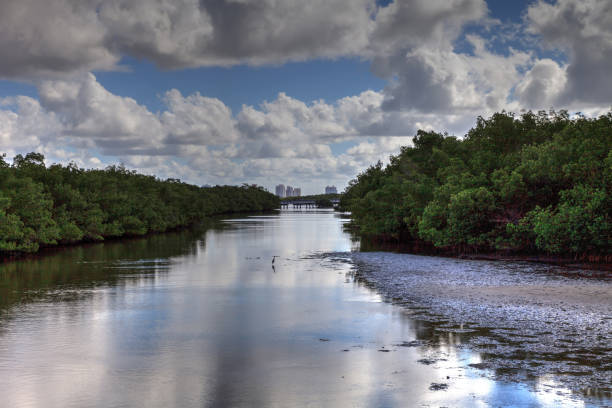 istock Waterway in Lovers Key State Park surrounded by mangroves 1287703762