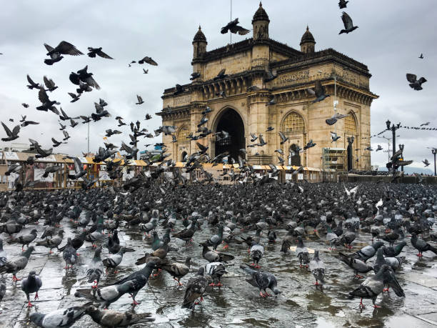 istock Gateway of India 1287703819