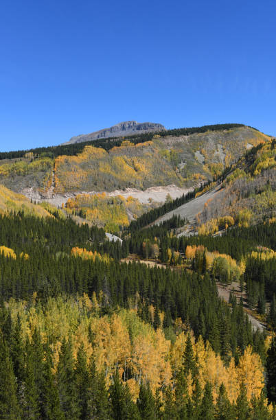 istock A road runs through it, Rocky Mountains, Colorado 1287711109