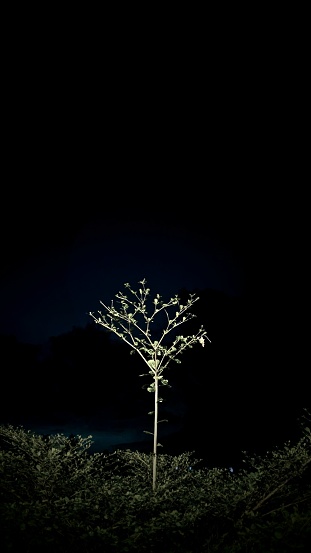 Más de 30,000 imágenes de fondo de pantalla Amoled | Descargar imágenes gratis en Unsplash Más de 30,000 imágenes de fondo de pantalla Amoled | Descargar imágenes gratis en Unsplash