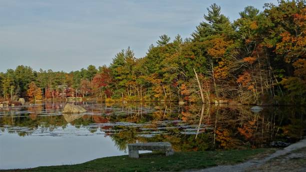 istock Nipmuc Pond water and seasonal reflections 1287711337