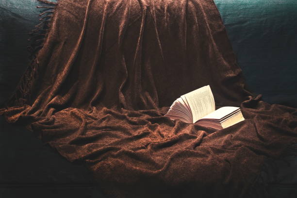 An open book lying on the couch. A brown bedspread with beautiful folds. Cozy home time. Hugge.