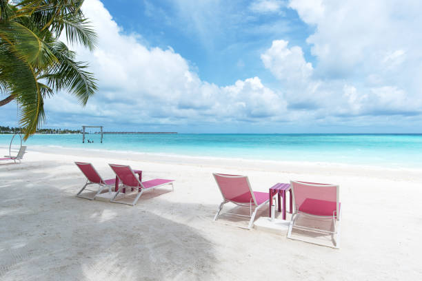 istock Pink lounge chairs under palm trees on the tropical paradise beach 1287714584