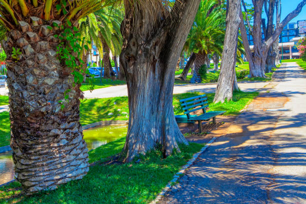 Bench in Parque de Palmela in Cascais . Sidewalk in the tropical park