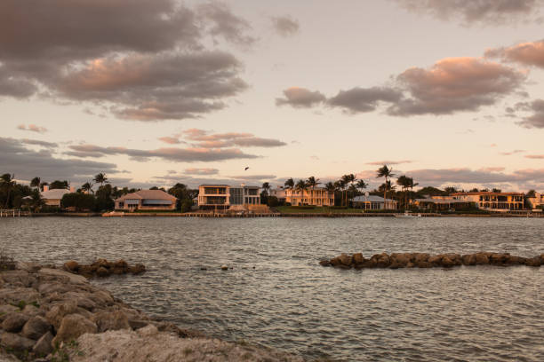 Tropical Palm Trees & Ocean Views in Jupiter, Florida.