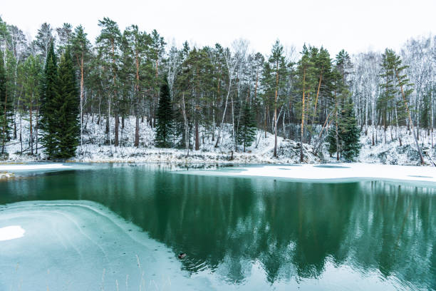 Small beautiful pond in the snow forest. Selective focus. Winter landscape.