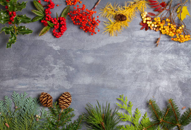 istock Thanksgiving Christmas autumn winter background 1287736645