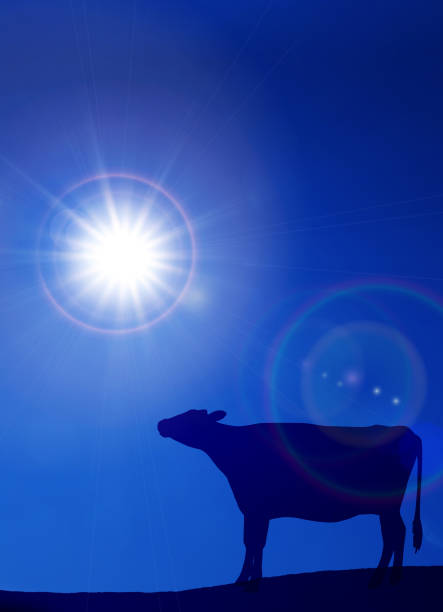 istock New Year's card - cow silhouette and sunrise 1287738048