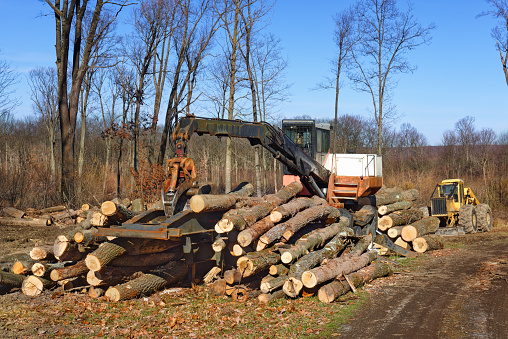 A log loader and log skidder sit at the site of a temporary logging and timber harvesting operation in the Pennsylvania State Game Lands, USA.