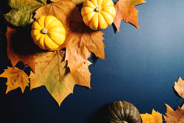 istock Happy Thanksgiving Day with maple leaves and pumpkin on blue background 1287755367