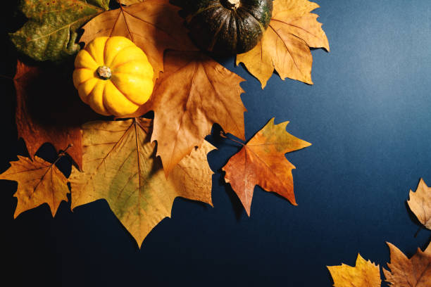 istock Happy Thanksgiving Day with maple leaves and pumpkin on blue background 1287755569