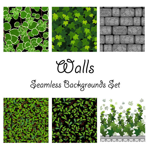 Walls background ivy, stone wall, bush pattern, seamless patterns collection set, green leaves, nature. Walls background ivy, stone wall, bush pattern, seamless patterns collection set, green leaves, nature. stone wall background stock illustrations