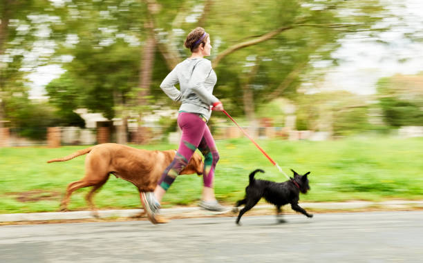 istock Woman running with her pets 1287767593