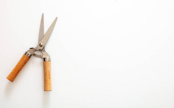 istock Pair of scissors isolated on white background, copy space 1287768936