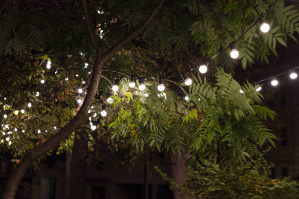 istock Backyard illumination, light in the evening garden, electric lanterns with round diffuser. Lamp garland of light bulbs on a tree branch among the leaves, dark illuminate night scene. 1287786853