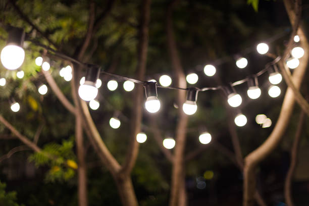 istock Blurred background, backyard illumination, light in the evening garden, electric lanterns with round diffuser. Lamp garland of light bulbs on a tree branch among the leaves, illuminate night scene. 1287786854