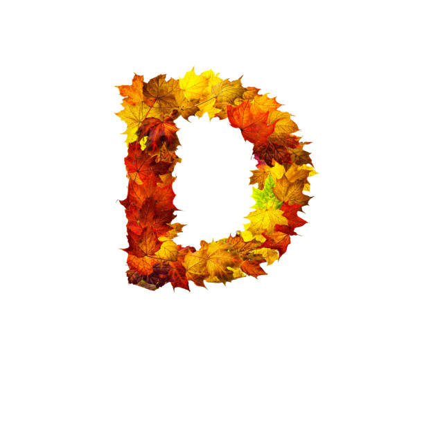 istock Colorful autumn leaves isolated on white background as letter D. 1287788556