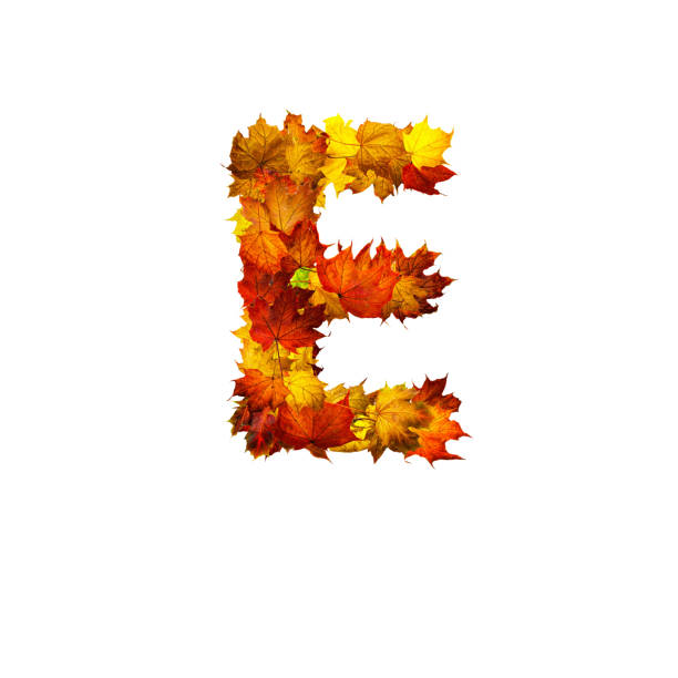 istock Colorful autumn leaves isolated on white background as letter E. 1287788557
