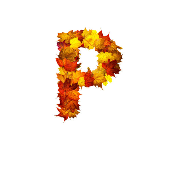 istock Colorful autumn leaves isolated on white background as letter P. 1287788574