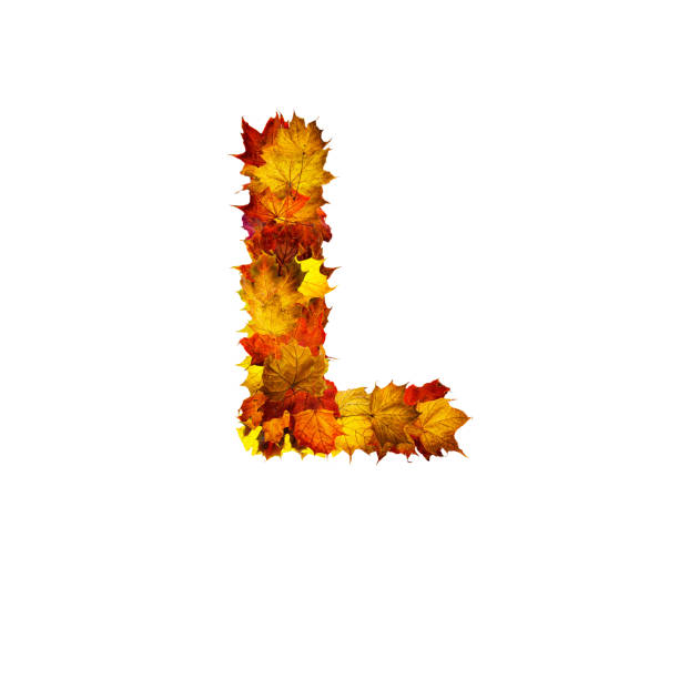 Colorful autumn leaves isolated on white background as letter L. Letter L.