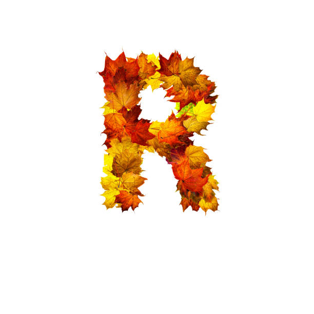 istock Colorful autumn leaves isolated on white background as letter R. 1287789252