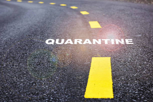 istock Quarantine written on asphalt road with marking lines for giving directions 1287790934