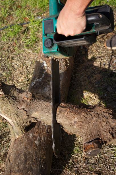istock chainsaw in operation cutting a log with motion blur 1287793587
