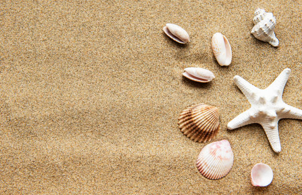 istock Travel holiday background 1287793736