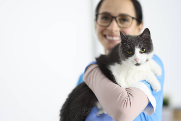 istock Smiling veterinarian holds cat in his arms. 1287793885