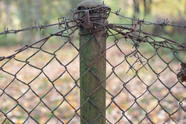 istock barbed wire fence on autumn park background 1287801919