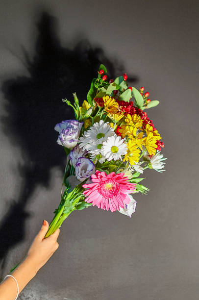 istock Daisy flowers in a hand 1287803558