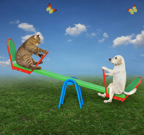 istock Dog with cat on swing 1287804264