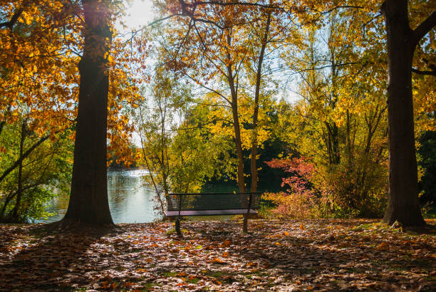 istock Autumn in the park 1287807299
