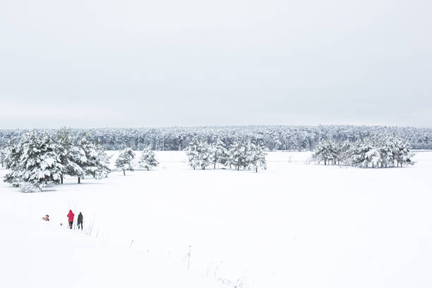 istock Snow-covered trees in the forest after a snowfall. Spruce and pine trees in white, natural background 1287811450