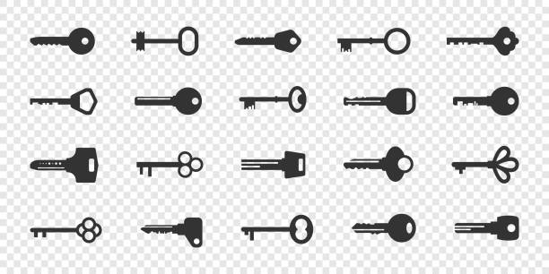 ilustrações de stock, clip art, desenhos animados e ícones de icons set key. flat icons key. icons concept. icons for web. vector illustration - skeleton key