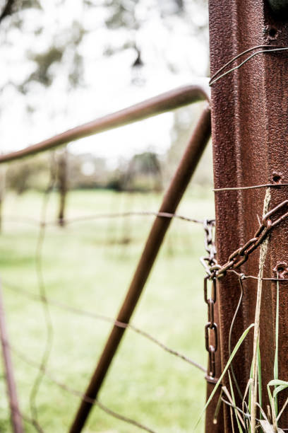 istock Farming Photos from Clare Valley 1287811957