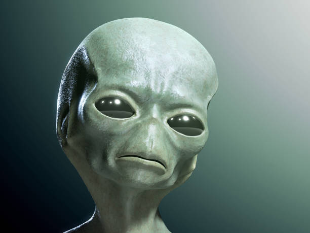 3d rendered illustration of a humanoid Alien head. 3d rendered illustration of a humanoid Alien character grey alien stock pictures, royalty-free photos & images