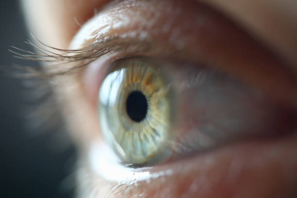 istock Human eye with eyelashes in the light closeup 1287816319