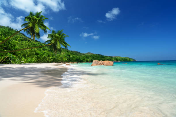istock Anse Lazio beach at Praslin island, Seychelles 1287817815