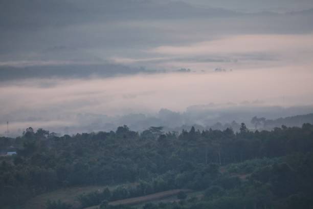 istock Morning mist in the middle of the deep forest 1287819823