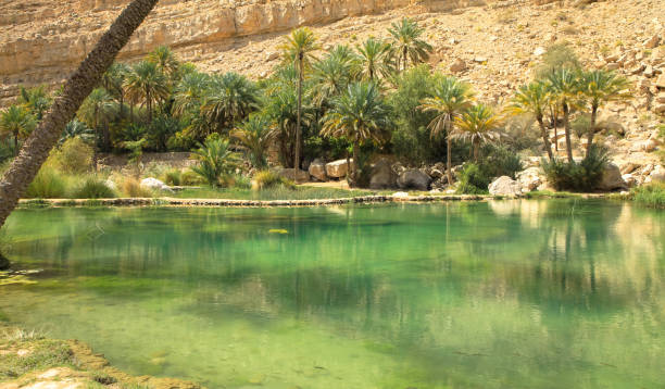 istock Water pools in Wadi Bani Khalid, Oman, Arabia 1287821617